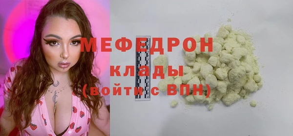 шишки Белокуриха