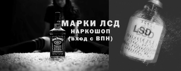 шишки Белокуриха