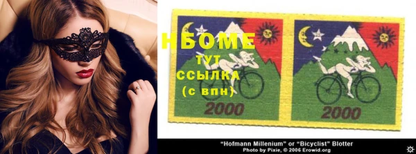шишки Белокуриха